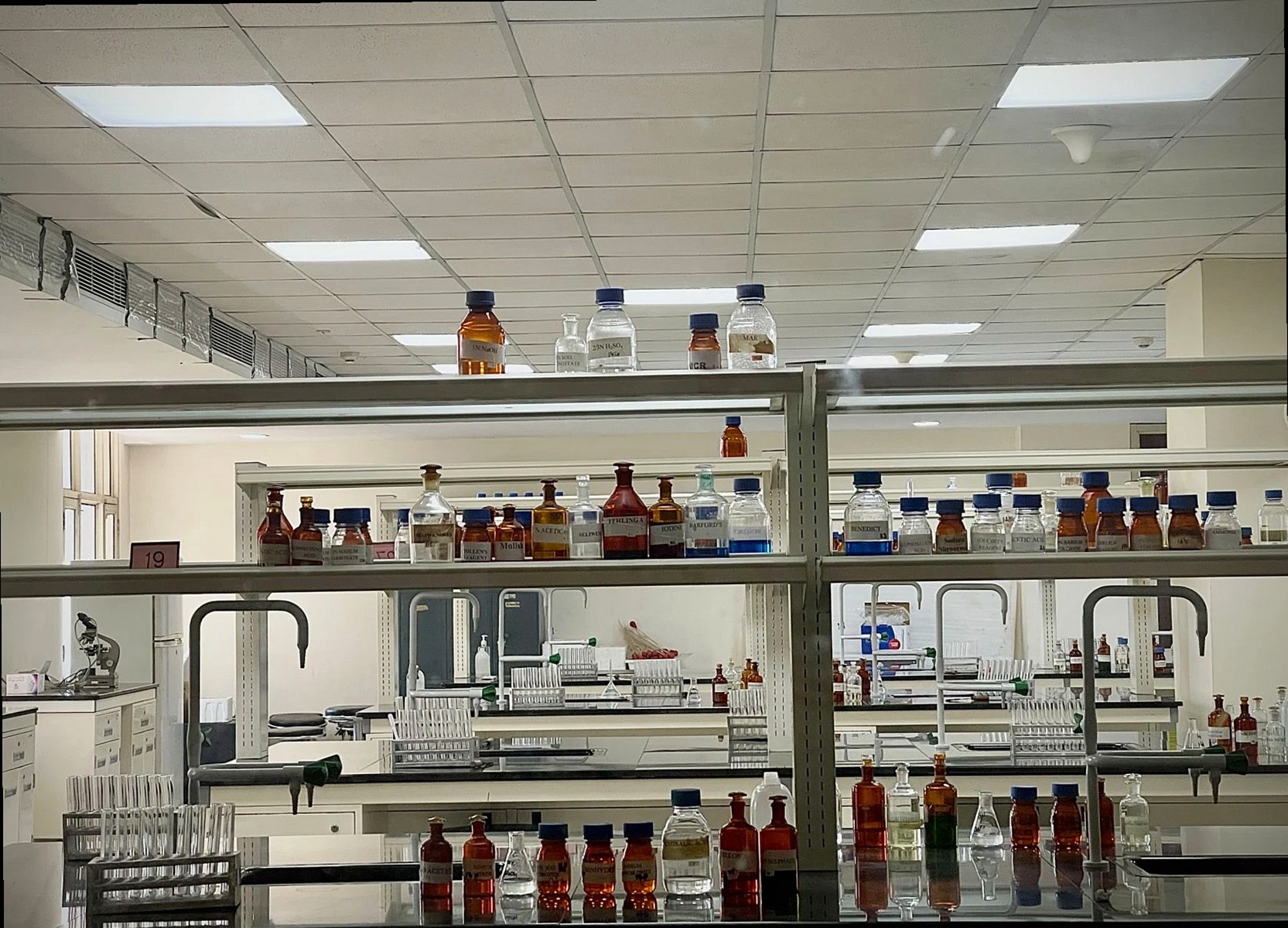 Nex Lab Flow Zone — 5